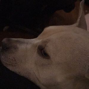 Meet your Posher, Bret